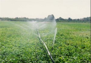 مجهزشدن ۱۵۰۰ هکتارزمین کشاورزی خوزستان به سامانه نوین آبیاری